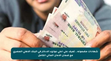 شهادات مضمونة.. تعرف على أعلى عوائد الادخار في البنك الأهلي المصري مع ضمان الأمان المالي الكامل